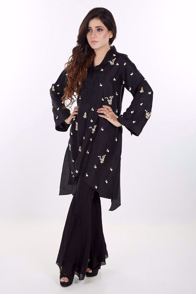 Picture of Black hawk