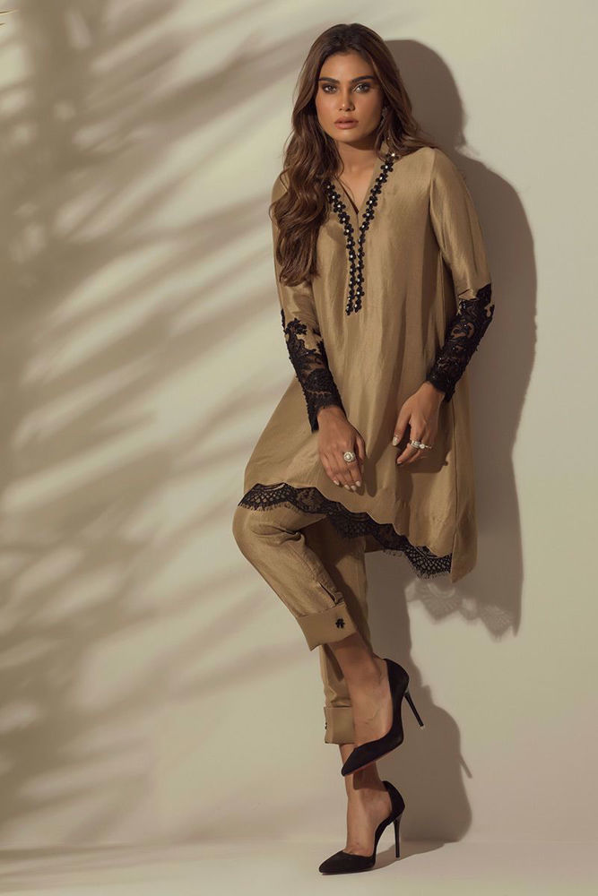 Picture of Classic beige  Net Dupatta Only