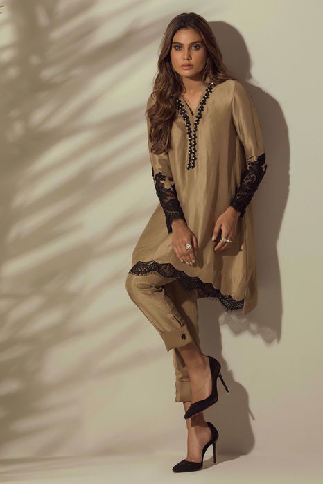Picture of Classic beige  Net Dupatta Only